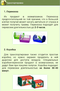 Попугаи(圖7)-速報App