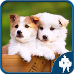 Cover Image of Download Dogs Jigsaw Puzzles 1.8.1 APK