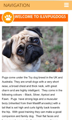 I Love Pug Dogs