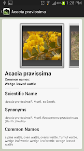 Environmental Weeds Australia(圖6)-速報App