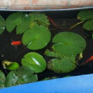 池上福原豆腐店