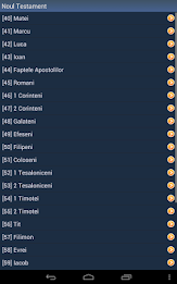 Romanian Holy Bible poster 9