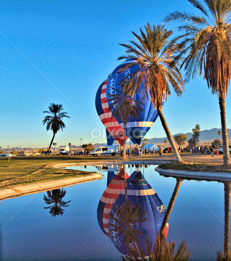 Balloons Up by Becky McGuire - News & Events Entertainment