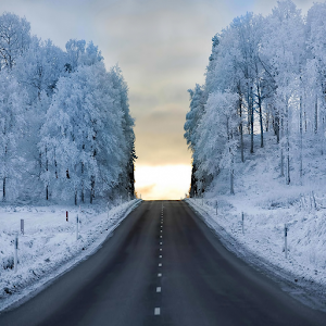 RoadWeather.apk VeiVær