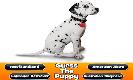Guess The Puppy Breed Trivia poster 3