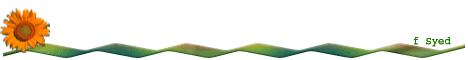 div7.png
