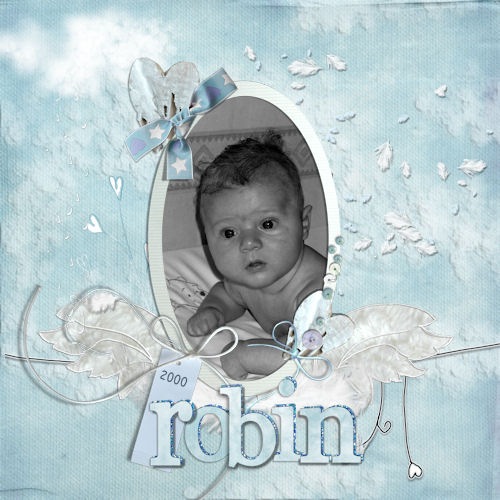 robin 2000
