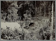 Voltooide houten brug