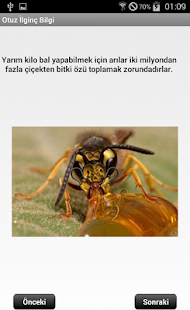 Otuz İlginç Bilgi Screenshots 1