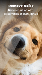 AI Photo Enhancer - Denoise it 5
