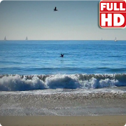 Blue Waves Live Wallpaper HD