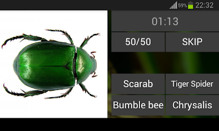 Guess the insect poster 8