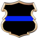NC Blue Book logo