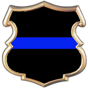NC Blue Book logo