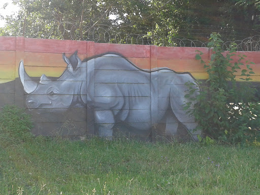 Help Save Our Rhinos Mural