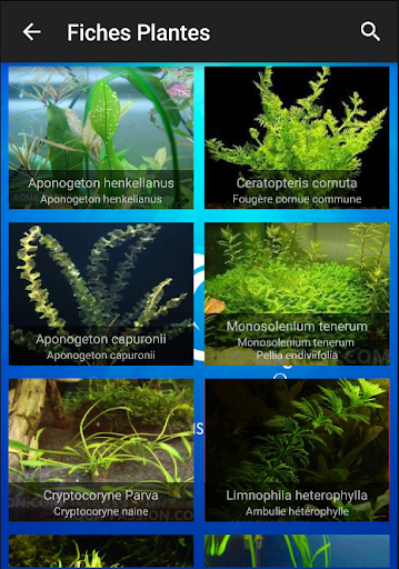 【免費書籍App】Encyclopédie Aquariophile Pro-APP點子