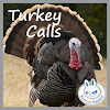 Turkey Hunting Calls by SourceRabbit