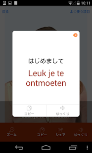 オランダ語ビデオ辞書　-　翻訳機能・学習機能・音声機能 Screen 3