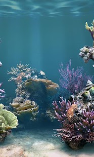 Fish Catch - Best Free Game Screenshots 0