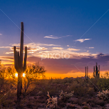 Sunset Sunburst with Saguaro by Karen Martin -  