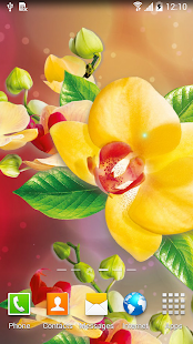 Orchids Wallpaper(圖5)-速報App