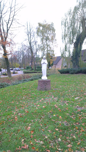 Mariabeeld Bij Lidwinahof