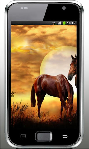 Wild Horses HD live wallpaper