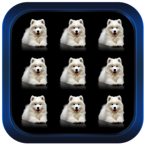 寵物狗圖案鎖屏 個人化 App LOGO-APP開箱王
