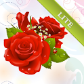 Happy Birthday! Lite icon
