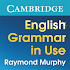 English Grammar in Use1.11.18 (Unlocked)