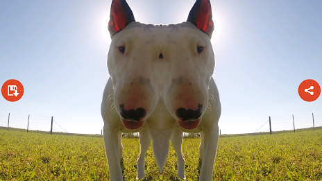 Mirror Camera by Atlantida Apps poster 14