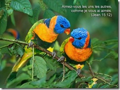 Jn015-012_Pensee_Semaine(G) [640x480]
