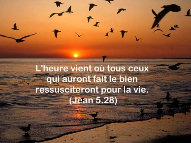 [Jn005028_Pensee_SemaineG640x4802.jpg]