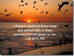 Jn005-028_Pensee_Semaine(G) [640x480]