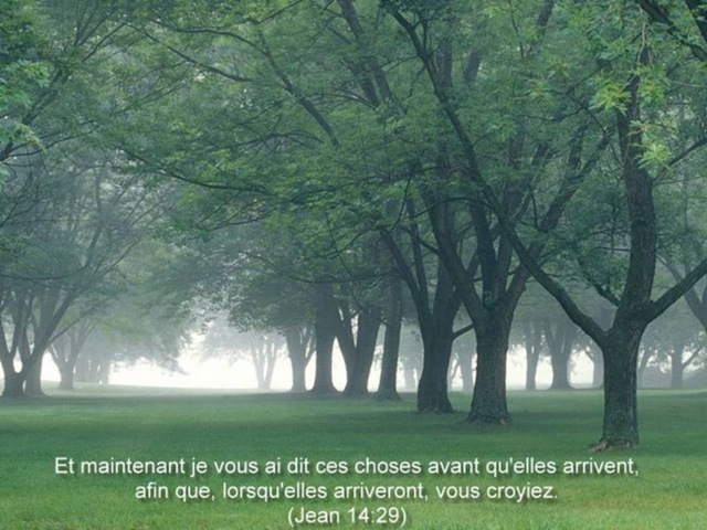 [Jn014029_Pensee_SemaineG640x4802.jpg]