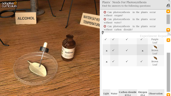 Plants & Photosynthesis Screenshots 2