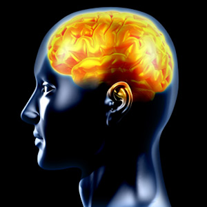 Best IQ Test Hacks and cheats