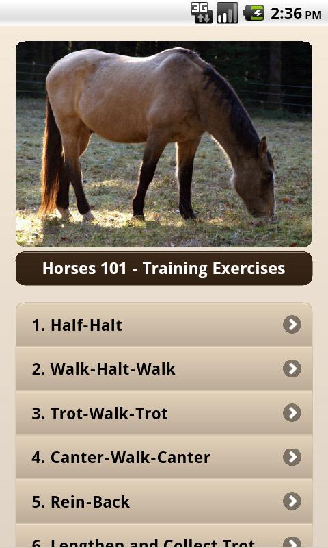 Android application Horses 101 Training Exercises screenshort