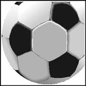 Youth Soccer Stats Tracker logo