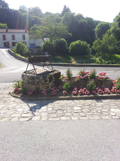 Razès, Old Well with Flowers
