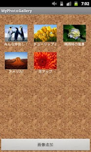 Free Download My Photo Gallery APK