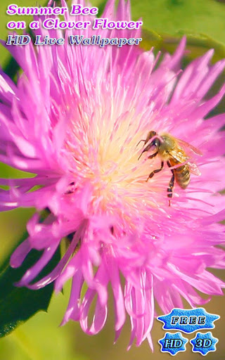 3D Bee on a Clover Flower Free