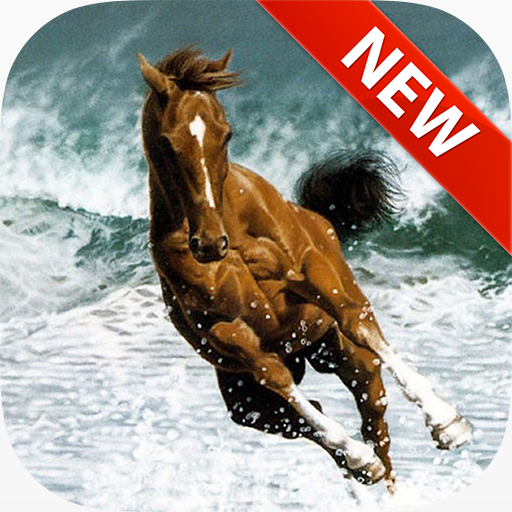 Horses Wallpapers LOGO-APP點子