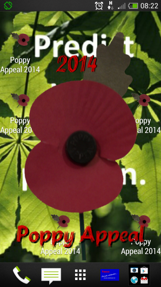 Poppy Appeal 2014 Screen 2