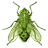 BuzzLock icon