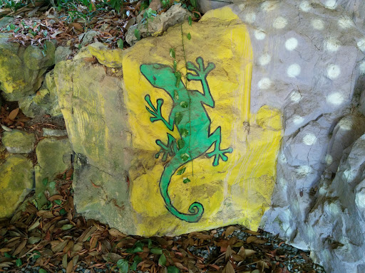 Lizard on the Rocks