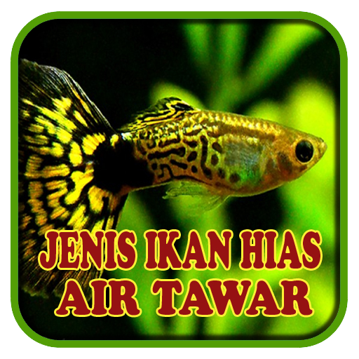 Jenis Ikan Hias