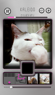Download KALEIDOにゃんこ～陽気な太陽の下～ APK