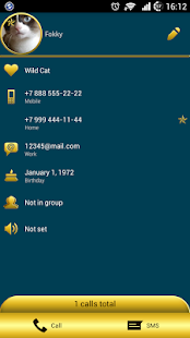 exDialer B-Gold theme - screenshot thumbnail