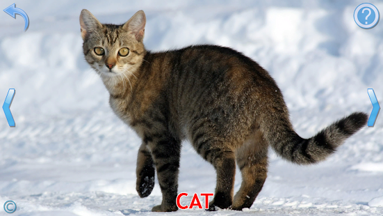   Kids Learn About Animals- screenshot thumbnail   